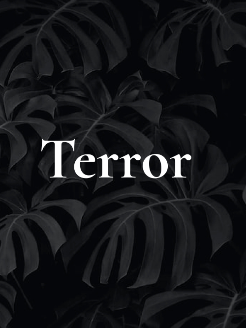 Terror